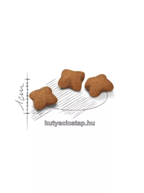 Royal Canin Kitten 36 400 gr