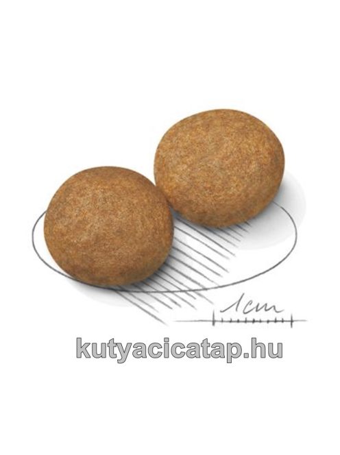 Royal Canin Medium Adult 3 kg