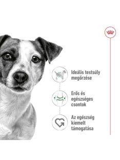 Royal Canin Mini adult 8 kg