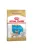 Royal Canin Csivava Puppy 500gr