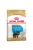 Royal Canin Yorkshire Terrier Puppy 500gr