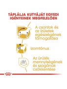 Royal Canin DACHSHUND Tacskó 7,5 kg