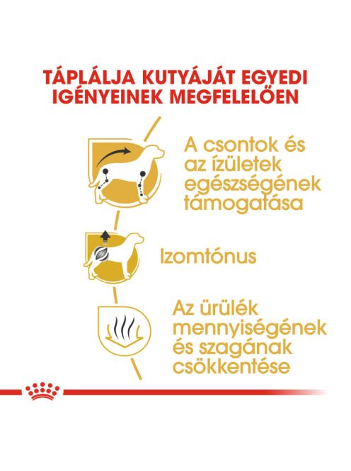 Royal Canin DACHSHUND Tacskó 7,5 kg