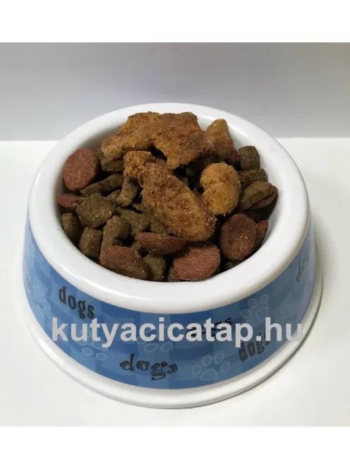 Kutyalakoma 10 kg