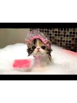 Ápolás, egészség